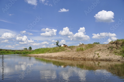 rzeka Liwiec, woda, przyroda, wiosna, wypoczynek, photo