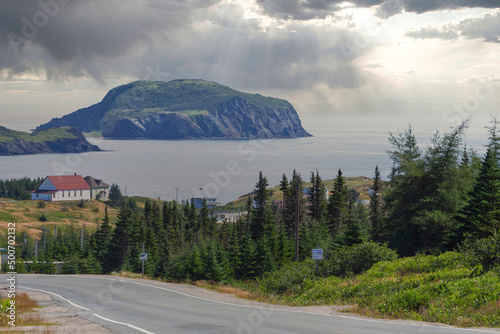 Road winding down to Tors Cove harbour with Fox Island on background, Newfoundland island, Canada