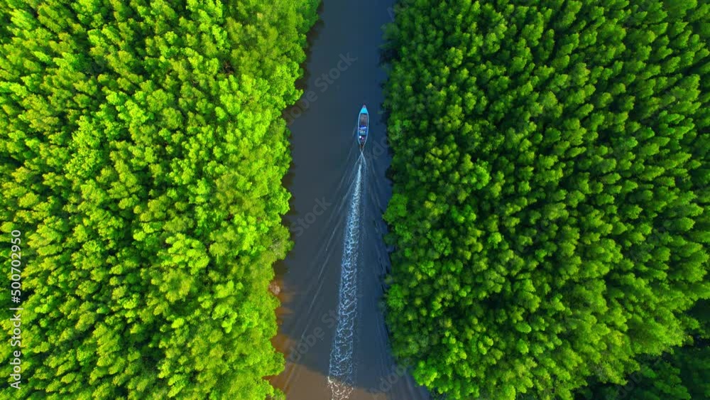 Top view of the boat cruising along the river with mangroves surrounding. Beautiful mangrove forest in Trang Province, Thailand. Aerial view from a drone. 4k Footage
Top view of the boat cruising along the river with mangroves surrounding. Beautiful mangrove forest in Trang Province, Thailand. Aerial view from a drone. 4k Footage