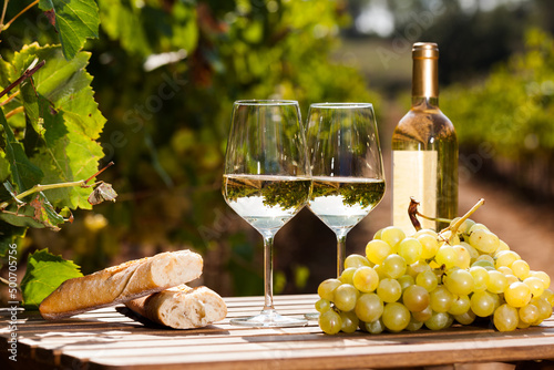 Quadro su tela glass of White wine ripe grapes and bread on table in vineyard