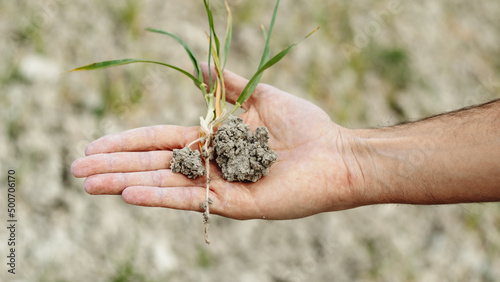 Land drought. Consequence of climate change