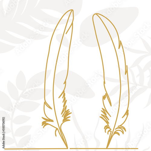 feather continuous line drawing, sketch, vector