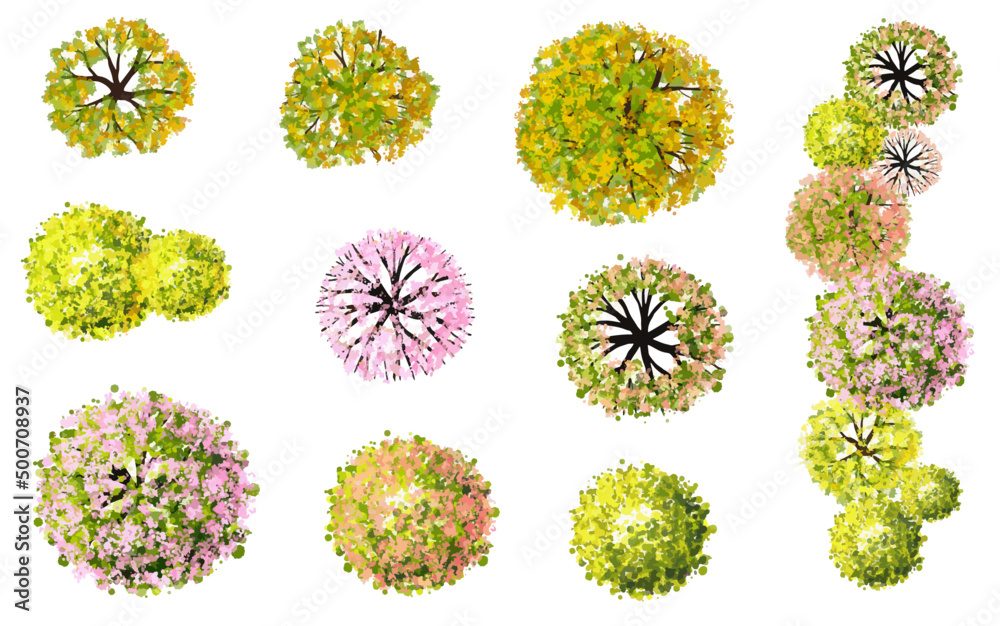 Vector flower tree top view isolated on white background for landscape