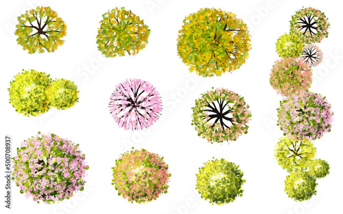 Vector flower tree top view isolated on white background for landscape plan and architecture drawing, elements for environment and garden