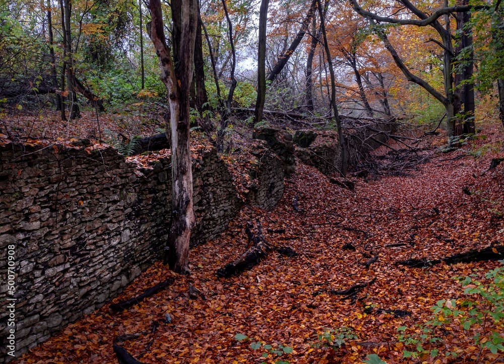 Przyroda, widoki