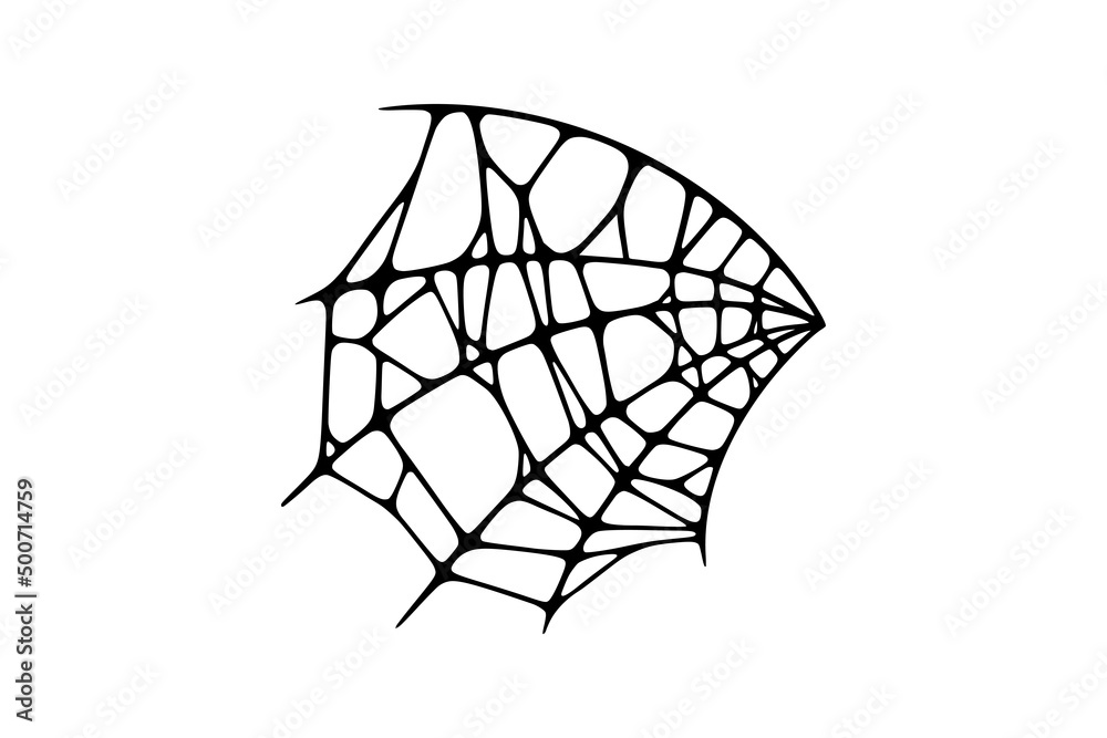 Fototapeta premium Spider web isolated on white background. Spooky Halloween cobweb. Handrawn vector illustration
