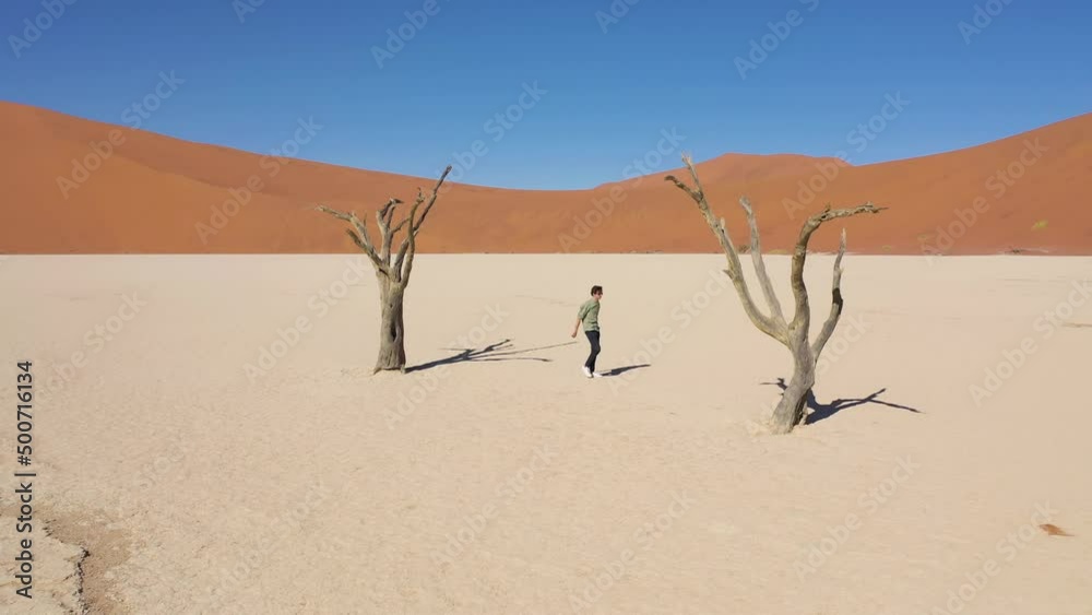 Aerial view of people at Deadvlei, dead trees in the desert in Namibia. Aerial view of people at Deadvlei, dead trees in the desert in Namibia.