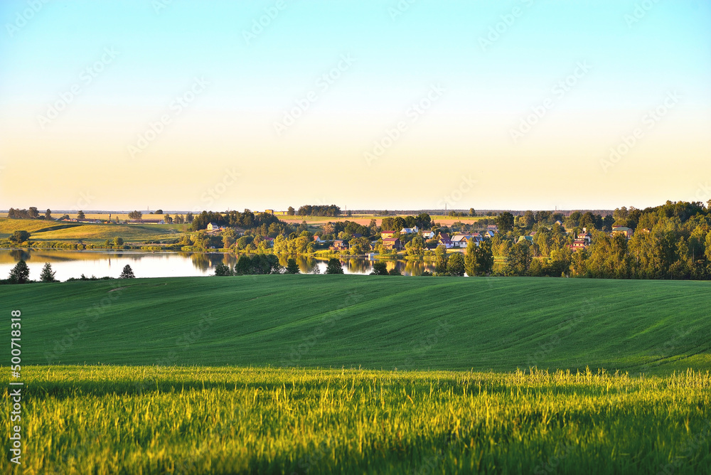 green wheat field, lake and village in the distance, idyllic summer landscape, trees and sunny summer evening, summer evening landscape soft focus
