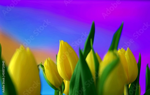 Kolorowe wiosenne tulipany z pięknym tłem