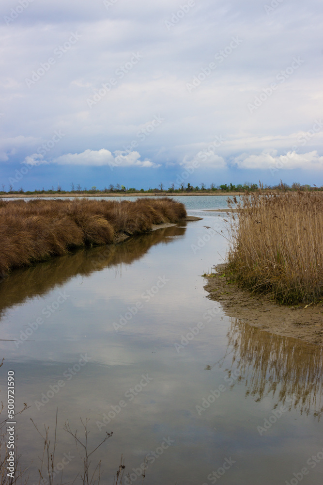 Lagoon landscape. Small canal that flows into the sea. Brussa, Caorle, Italy. Vertical image Lagoon landscape. Small canal that flows into the sea. Brussa, Caorle, Italy. Vertical image