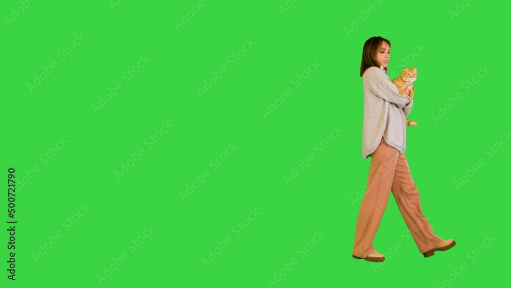 Girl walking and holding a cat on a Green Screen, Chroma Key. Girl walking and holding a cat on a Green Screen, Chroma Key.