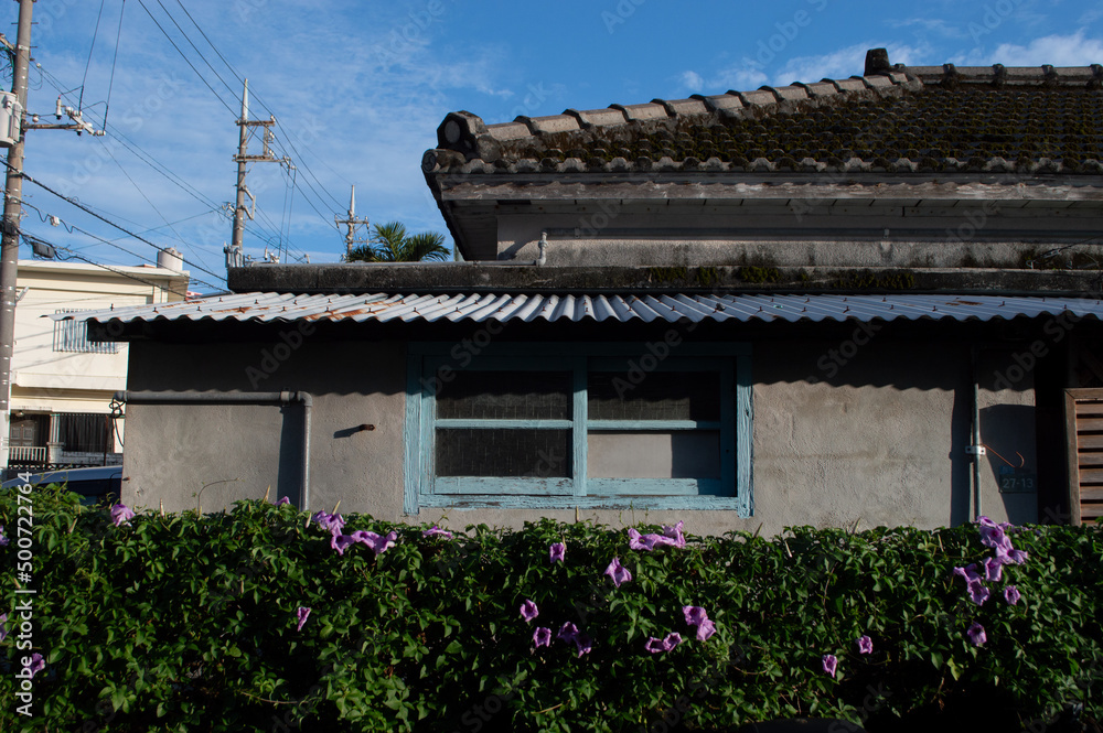 セメント瓦とトタン屋根の沖縄の古い住居