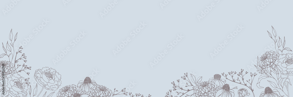 Fototapeta premium Vector banner with wild flowers, blooming field
