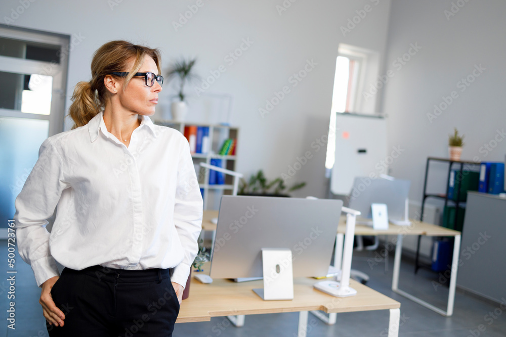 Portrait of a mature woman office worker Portrait of a mature woman office worker