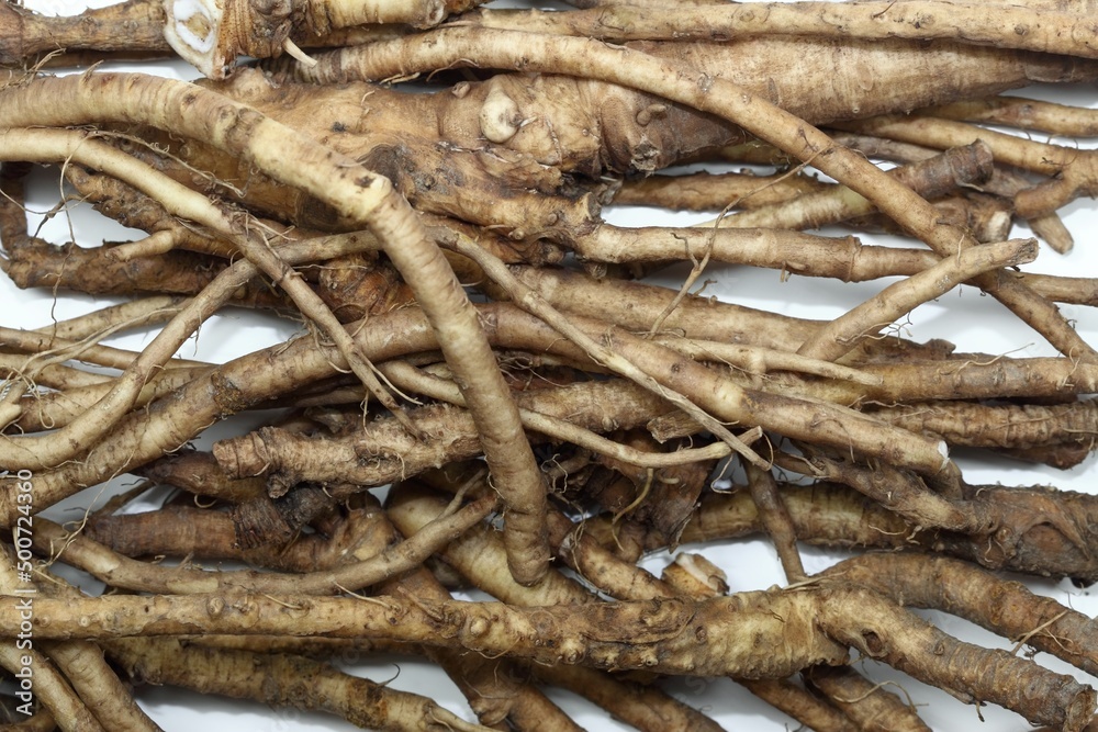 Fresh dandelion roots, lat.Taraxacum officinale on white. Very good for detoxication and healthy liver.  Flat lay.
