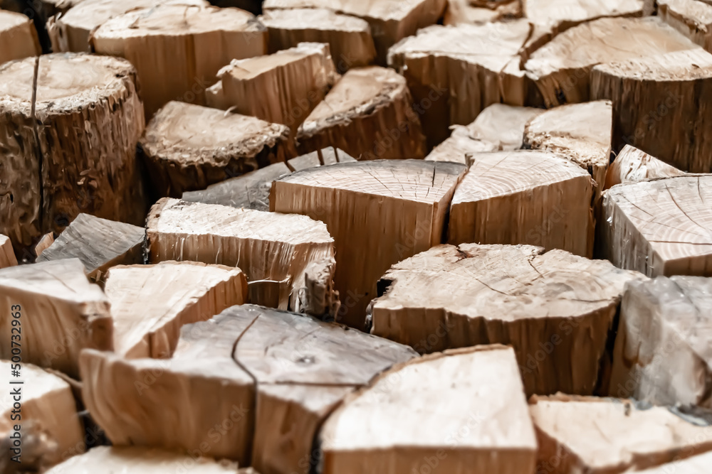 Photography on theme big wall of stacked oak tree logs in cracks Photography on theme big wall of stacked oak tree logs in cracks