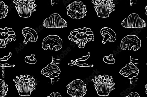 Seamless pattern of medicinal mushrooms on black background. Chaga, reishi, shitaki, cordyceps, turkey tail and lions mane mushroom illustration.	