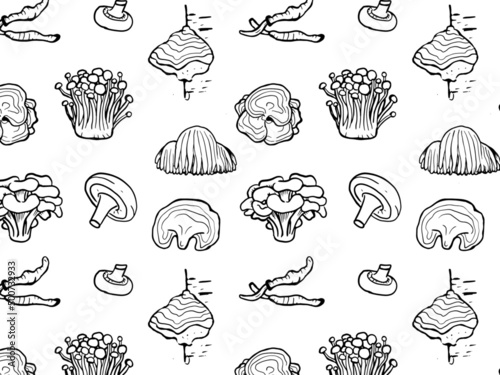 Seamless pattern of medicinal mushrooms on white background. Chaga, reishi, shitaki, cordyceps, turkey tail and lions mane mushroom illustration.
