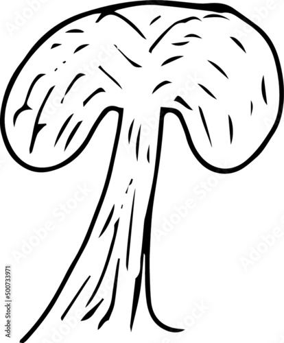 Atomic mushroom explosion