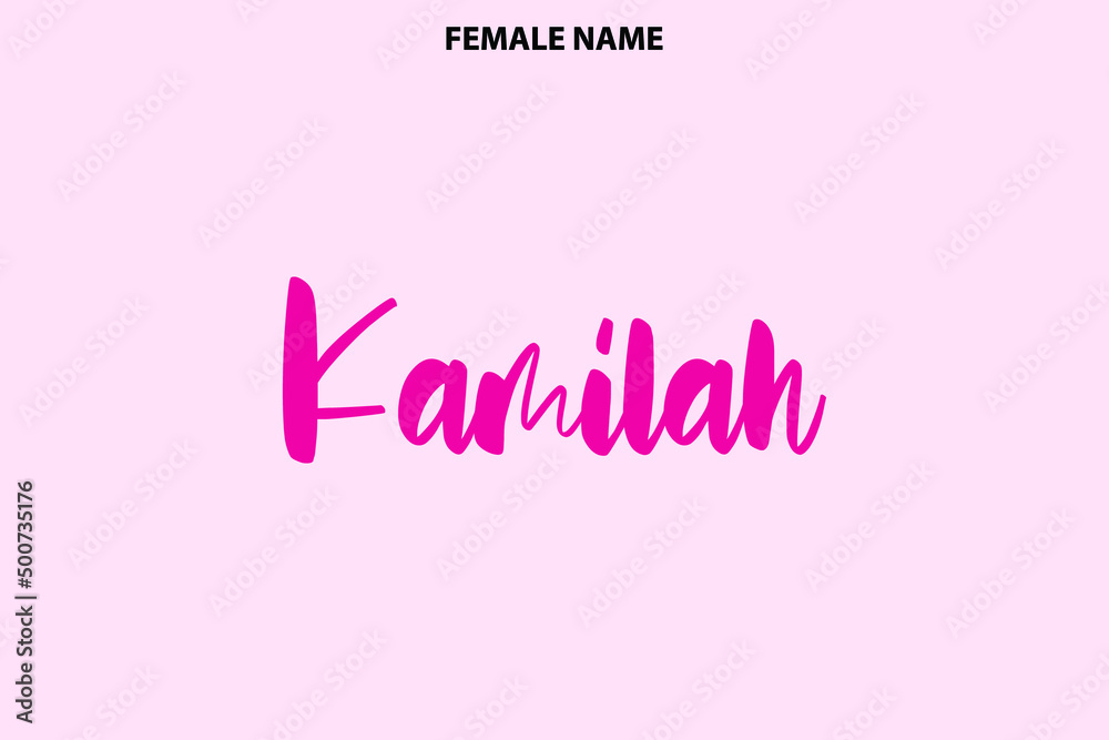 Women's Name Kamilah Calligraphy Bold Text on Pink Background
