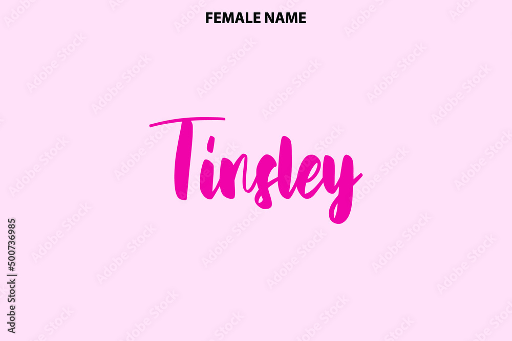 Girl's Name Elegant Vector Text Lettering Series Tinsley on Pink Background Girl's Name Elegant Vector Text Lettering Series Tinsley on Pink Background