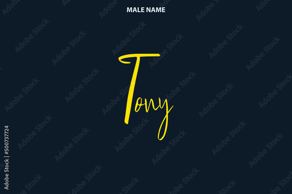 Tony Boy Name Handwritten Cursive Typography Text