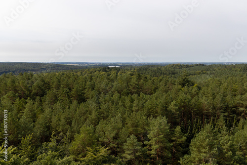 The view from the tree top walk towards Swinemünde/Wollin in Poland on the island of Usedom.