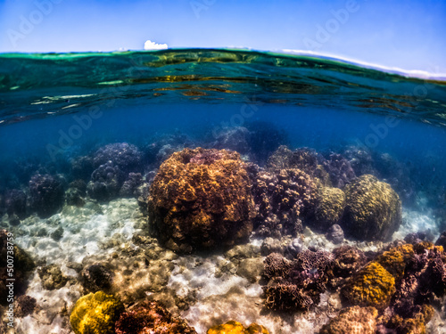 Underwater shoot of vivid coral reef with a fishes © sittitap