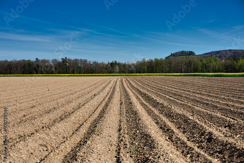 Landscape of fallow fields in spring 