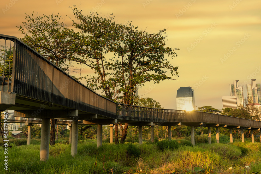 Big trees, a new natural environment park in the heart of Bangkok. Big trees, a new natural environment park in the heart of Bangkok.