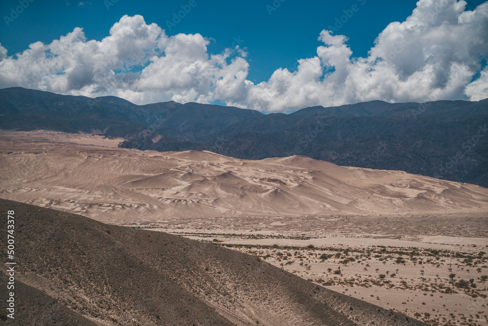 Fototapeta premium dunas