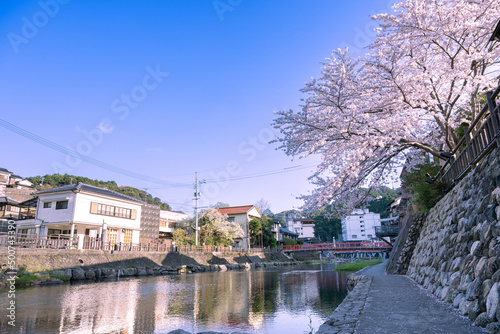 桜咲く春の長門湯本温泉