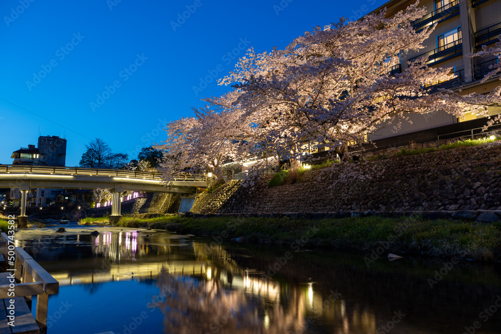 Fototapeta premium 春の宵夜桜の綺麗な長門湯本温泉
