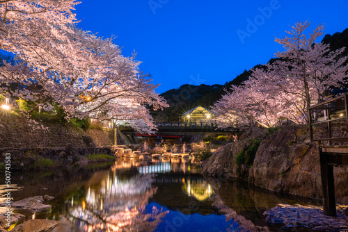 春の宵夜桜の綺麗な長門湯本温泉