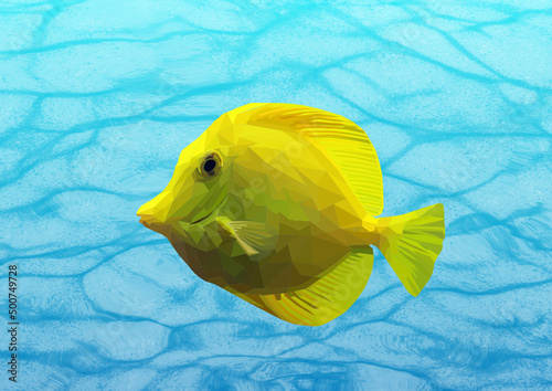 yellow fish swimming