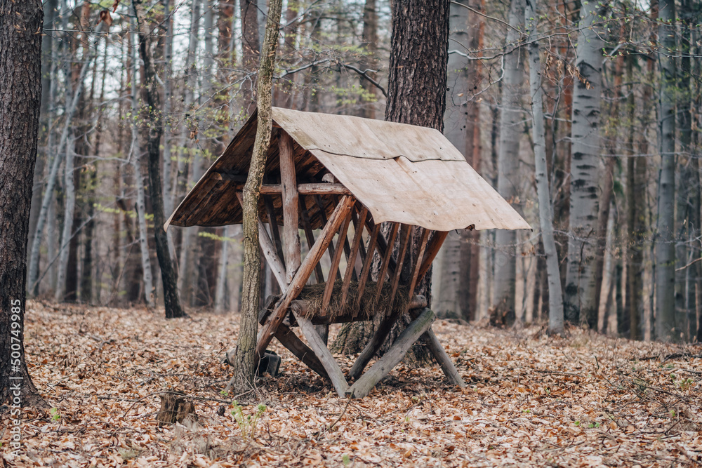 Feeder for deer inside the forest Feeder for deer inside the forest