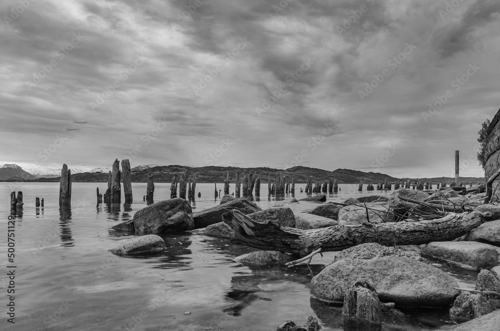 Obraz premium Monochrome Uferlandschaft am See