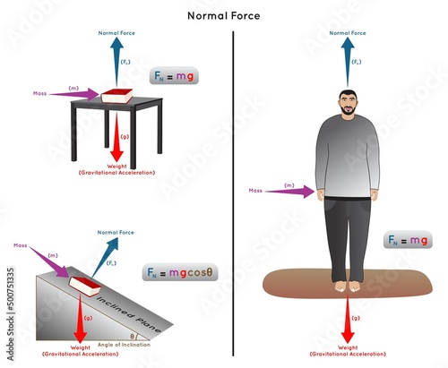 Normal Force Infographic Diagram with example of book on table and on inclined plane man standing on floor mass weight gravitational acceleration inclination angle physics science education vector photo