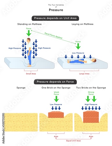 The Two Variables of Pressure Infographic Diagram unit area example is man standing and laying on mattress force example is placing one and two brick on the sponge physics science education vector