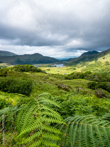 Ring of Kerry - Killarny National Park -See in Irland photo