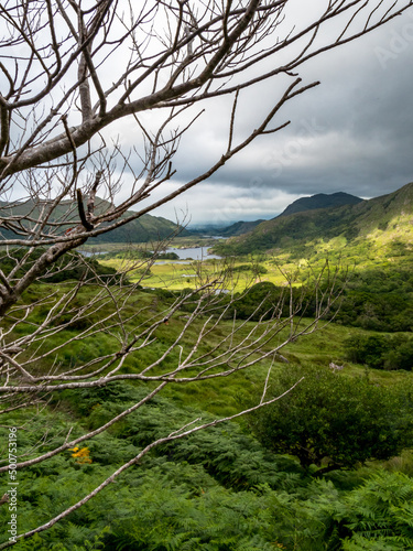 Ring of Kerry - Killarny National Park -See in Irland photo