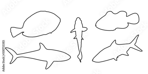 Set black silhouette outline clownfish, sardine, goldfish and surgeonfish sign icon on white background. Vector clipart illustration