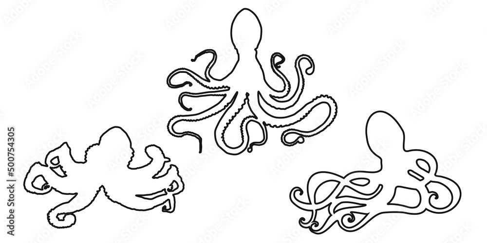 Set black outline octopus, devilfish or poulpe sign icon on white background. Vector clipart illustration