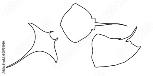Set black outline stingray, manta ray or devilfish sign icon on white background. Vector clipart illustration