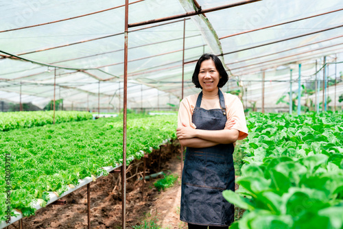 Portrait of Asian woman who owns a hydroponics vegetable farm checks the quality of vegetables grown on the farm before harvesting them for sale. Growing vegetables using non-toxic methods.