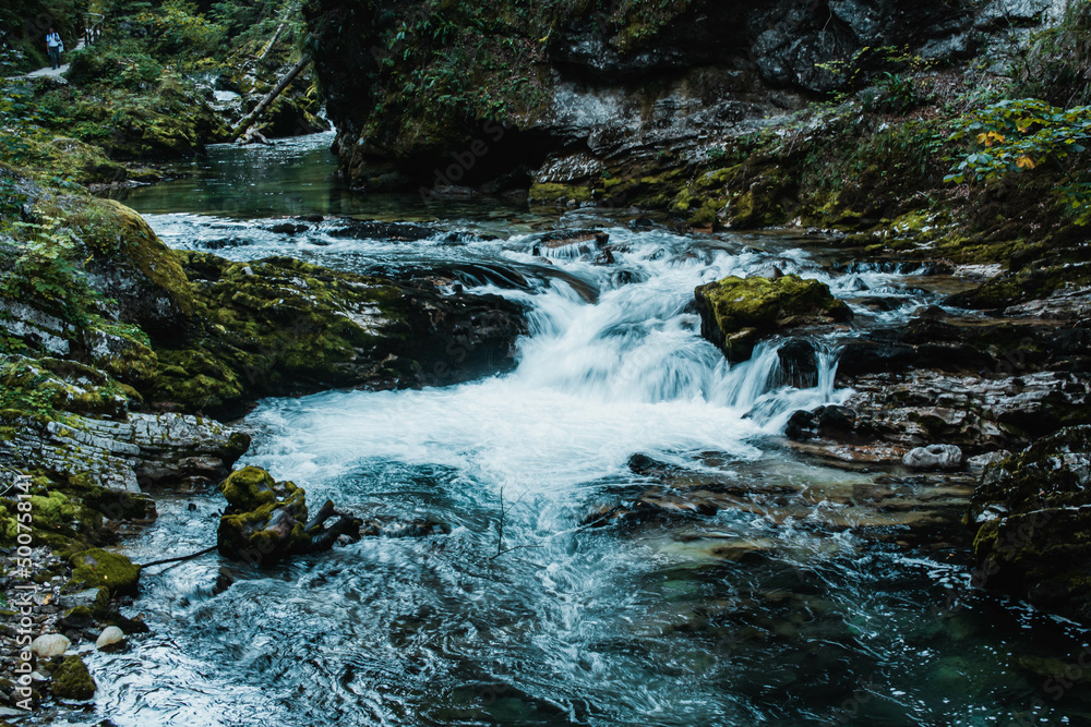 Beautiful Vintgar Gorge in Slovenia in Summer