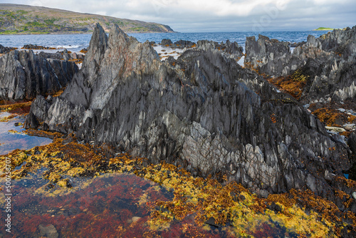 Scharfkantige Felsstrukturen an der Küste von Berlevåg, Norwegen