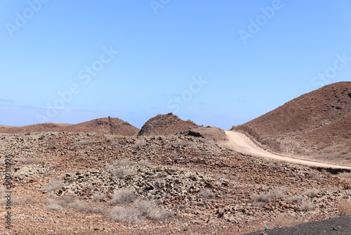 landscape in the desert