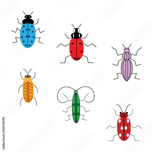 set of six colored beetles  © Aida