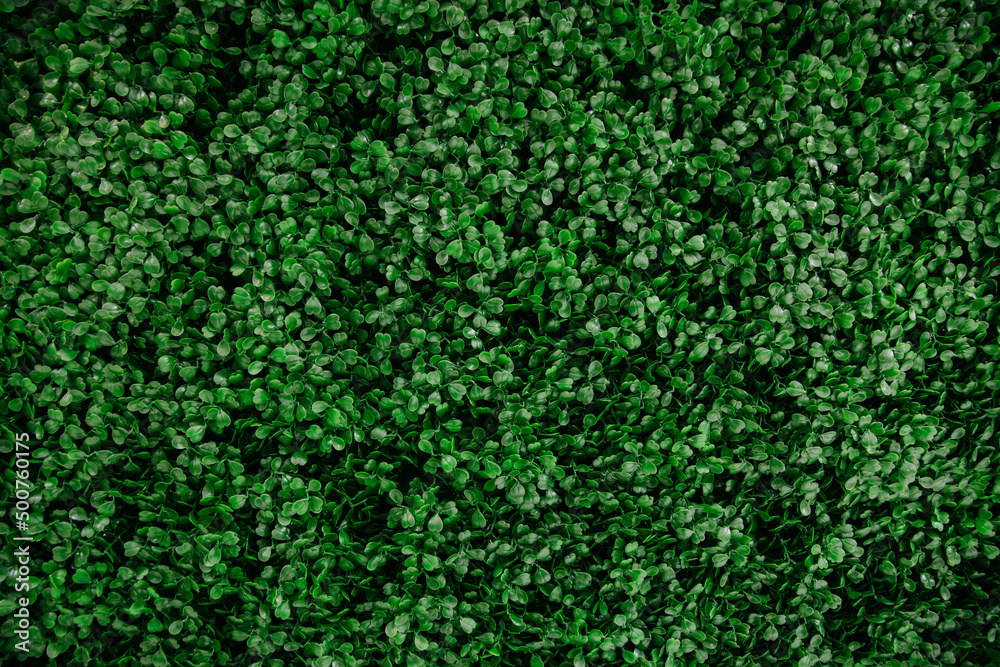 texture of green moss, green grass texture.
leaf texture. texture of green moss, green grass texture.
leaf texture.